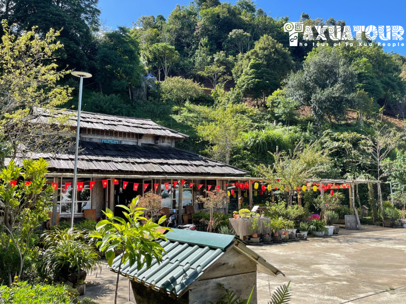 Combo Tà Xùa 2 ngày 1 đêm – Homestay Trung Tâm Tà Xùa