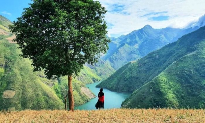 Kinh nghiệm check in tại cây cô đơn 