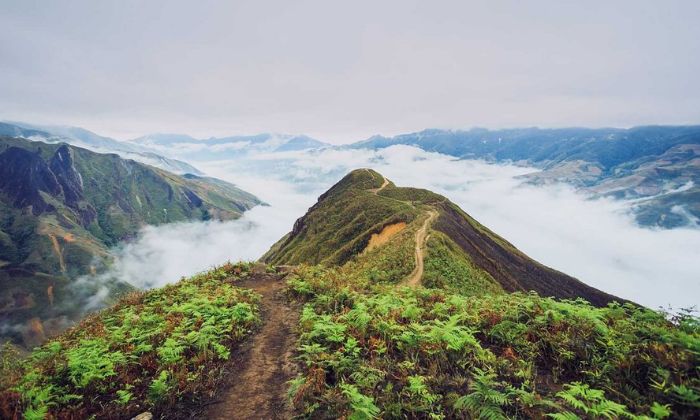 Một số điểm đến không nên bỏ lỡ ở Tà Xùa 