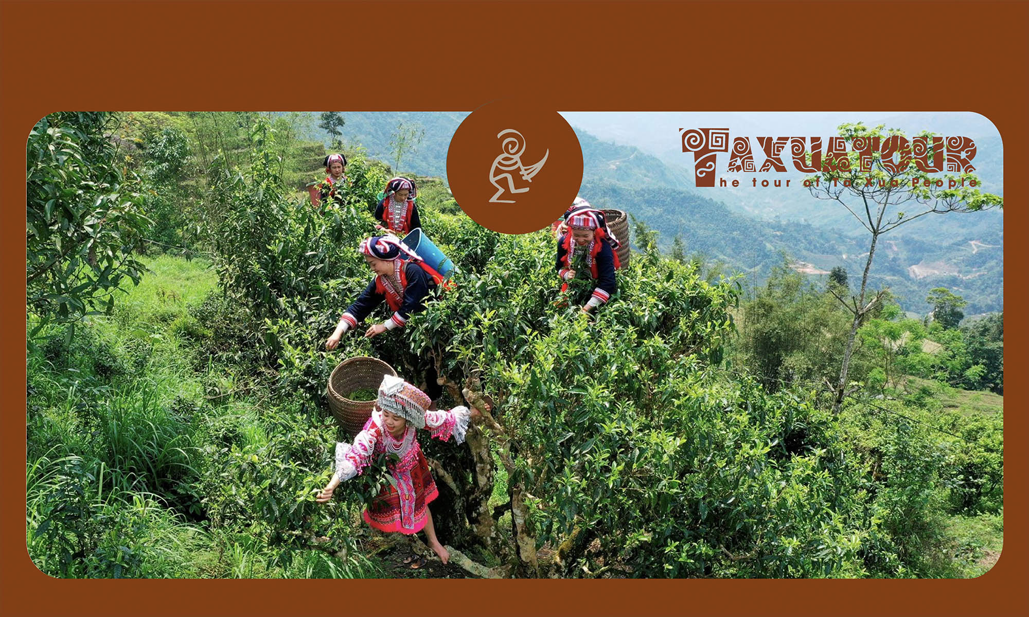 Chè Tà Xùa